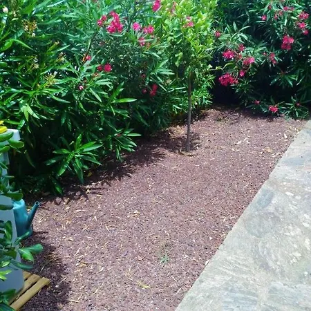 Σπίτι διακοπών Maison Pittoresque A Avec Jardin Cloture Argelès-sur-Mer